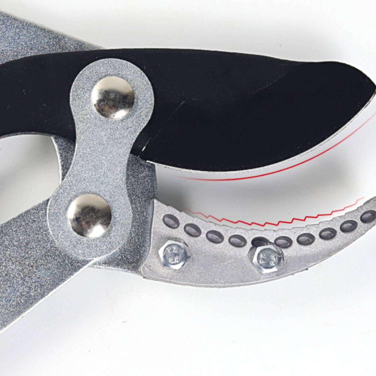 Forbici Telescopiche per Potat - Garden Tools recensione e prezzo